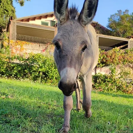 La Tinaia Apartamento *